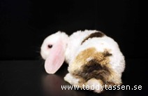 Teddytassens Pax (rexpälsad)